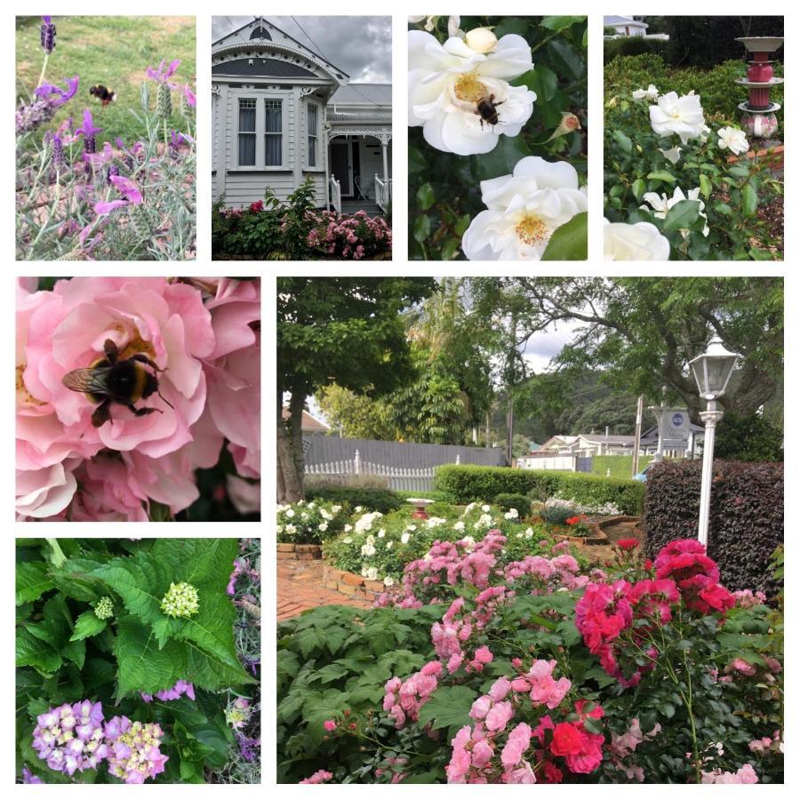 Chelsea House Bed & Breakfast Whangarei Zewnętrze zdjęcie